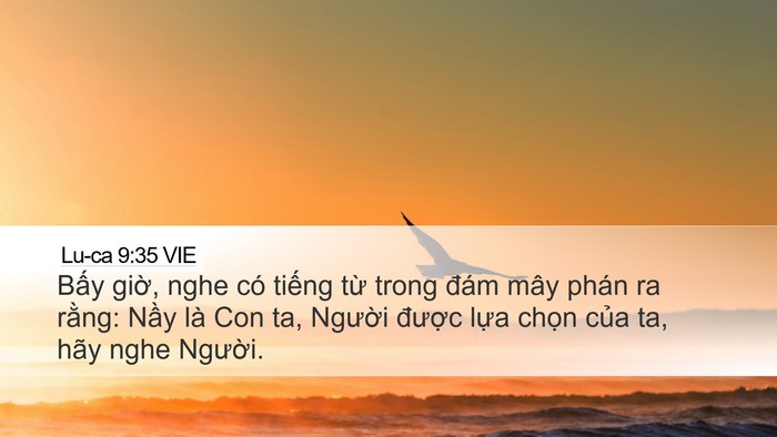 Lu-ca 9:35 VIE Bible Verse Image