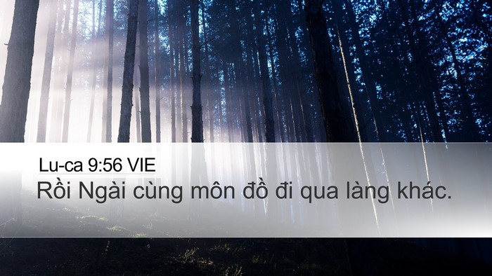 Lu-ca 9:56 VIE Bible Verse Image