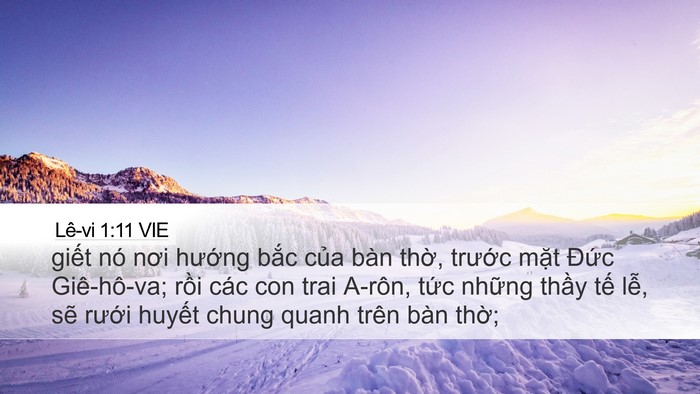 Lê-vi 1:11 VIE Bible Verse Image