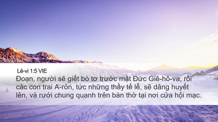 Lê-vi 1:5 VIE Bible Verse Image