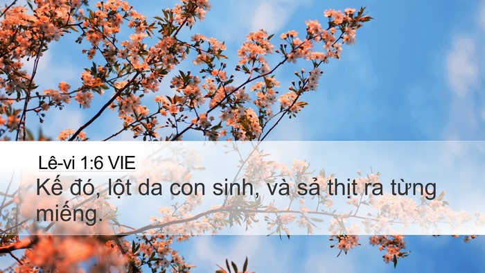 Lê-vi 1:6 VIE Bible Verse Image