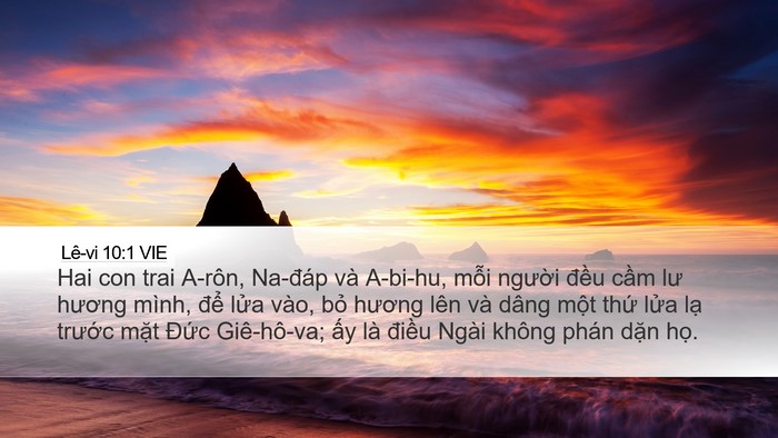 Lê-vi 10:1 VIE Bible Verse Image
