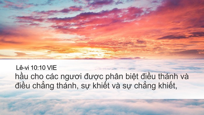 Lê-vi 10:10 VIE Bible Verse Image