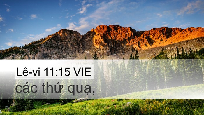 Lê-vi 11:15 VIE Desktop Wallpaper - các thứ - Desktop Bible Verse Wallpaper