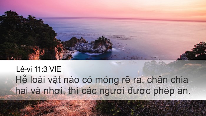 Lê-vi 11:3 VIE Desktop Wallpaper - Hễ loài vật nào có móng rẽ ra, chân - Desktop Bible Verse Wallpaper
