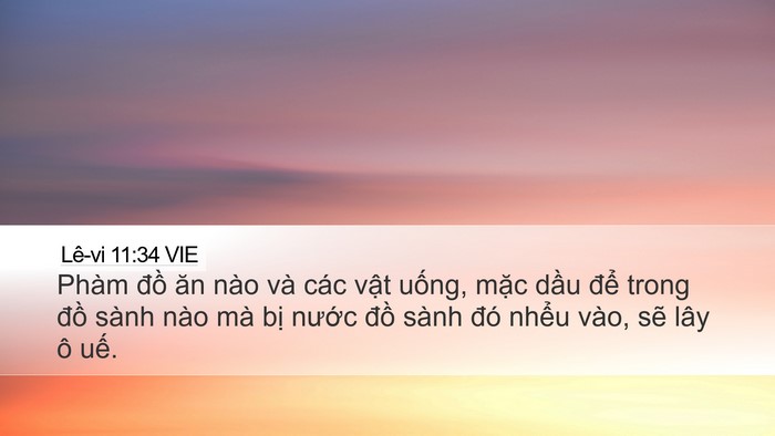 Lê-vi 11:34 VIE Desktop Wallpaper - Phàm đồ ăn nào và các vật uống, mặc - Desktop Bible Verse Wallpaper