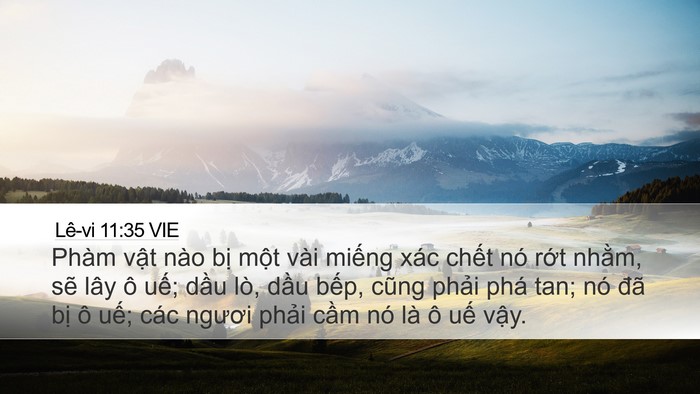 Lê-vi 11:35 VIE Bible Verse Image