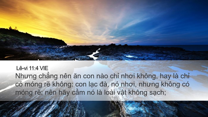 Lê-vi 11:4 VIE Desktop Wallpaper - Nhưng chẳng nên ăn con nào chỉ nhơi - Desktop Bible Verse Wallpaper