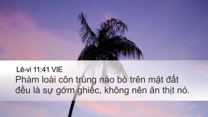 Lê-vi 11:41 VIE Desktop Wallpaper - Phàm loài côn trùng nào bò trên mặt - Desktop Bible Verse Wallpaper