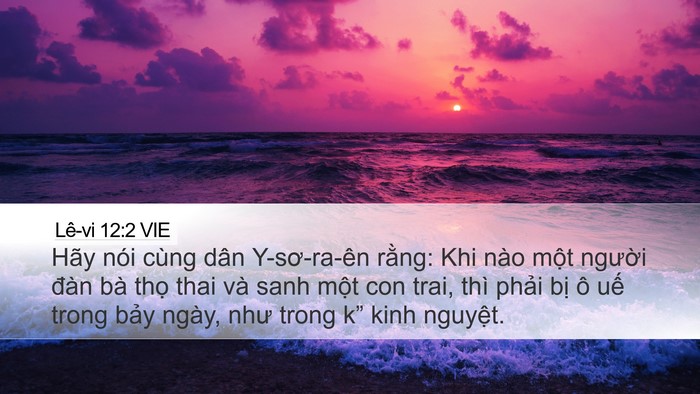 Lê-vi 12:2 VIE Bible Verse Image