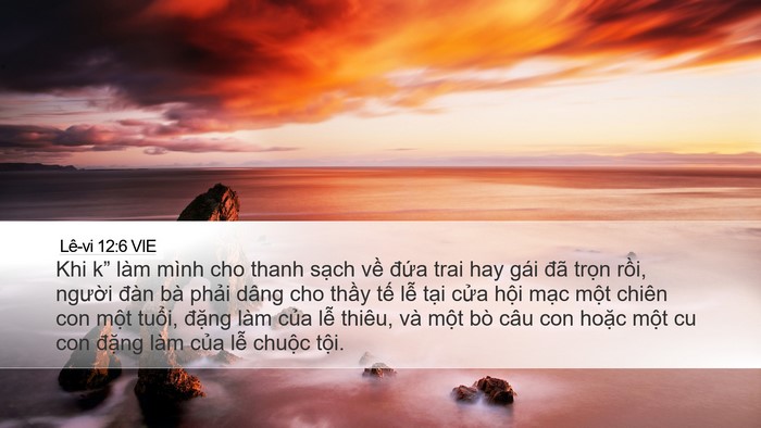 Lê-vi 12:6 VIE Bible Verse Image