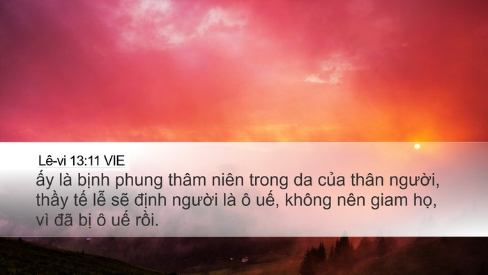 Lê-vi 13:11 VIE Desktop Wallpaper - ấy là bịnh phung thâm niên trong da của - Desktop Bible Verse Wallpaper