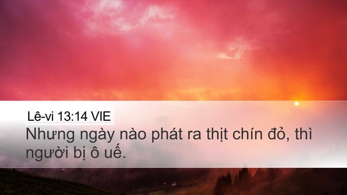 Lê-vi 13:14 VIE Bible Verse Image