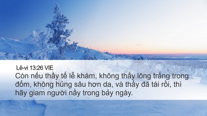 Lê-vi 13:26 VIE Desktop Wallpaper - Còn nếu thầy tế lễ khám, không thấy - Desktop Bible Verse Wallpaper