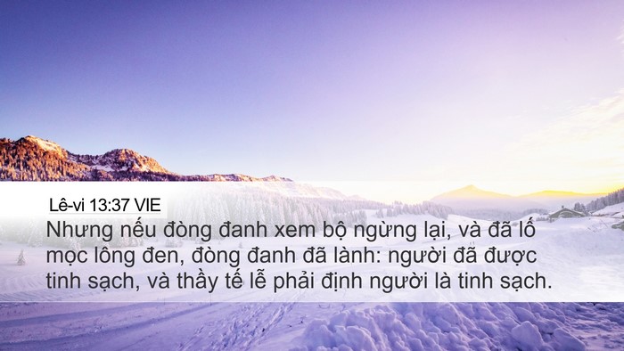 Lê-vi 13:37 VIE Desktop Wallpaper - Nhưng nếu đòng đanh xem bộ ngừng lại, - Desktop Bible Verse Wallpaper