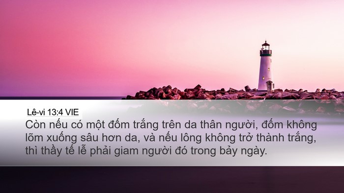 Lê-vi 13:4 VIE Desktop Wallpaper - Còn nếu có một đốm trắng trên da - Desktop Bible Verse Wallpaper