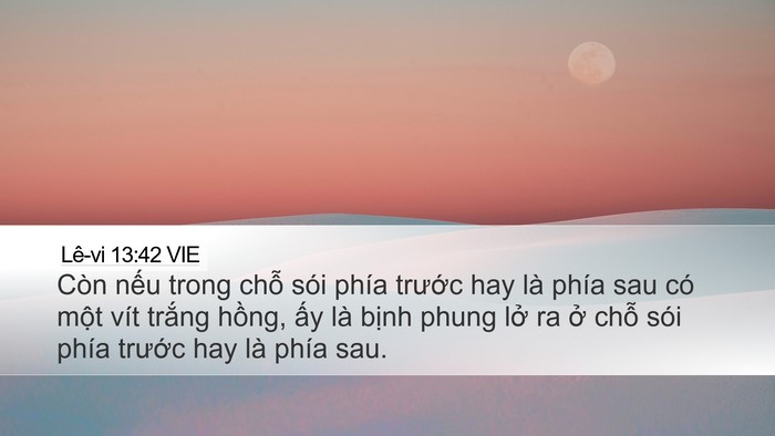 Lê-vi 13:42 VIE Desktop Wallpaper - Còn nếu trong chỗ sói phía trước hay - Desktop Bible Verse Wallpaper