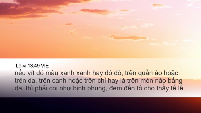 Lê-vi 13:49 VIE Desktop Wallpaper - nếu vít đó màu xanh xanh hay đỏ đỏ, - Desktop Bible Verse Wallpaper