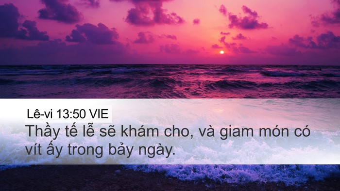 Lê-vi 13:50 VIE Bible Verse Image