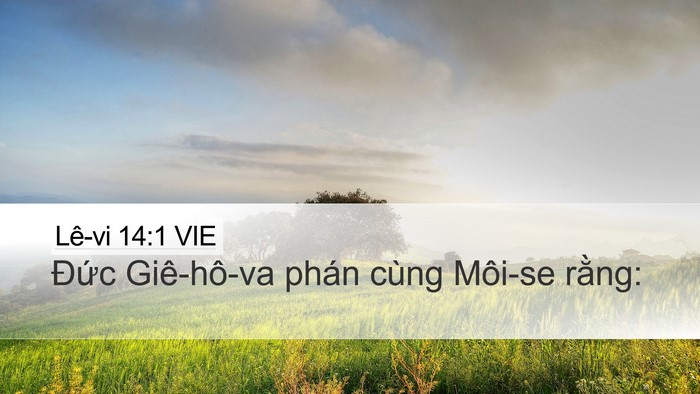 Lê-vi 14:1 VIE Bible Verse Image