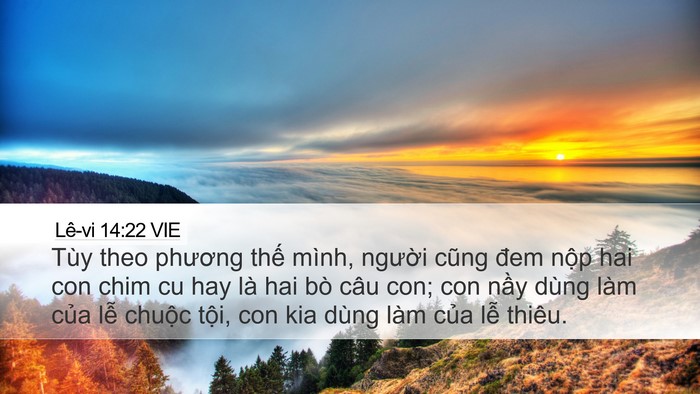 Lê-vi 14:22 VIE Bible Verse Image