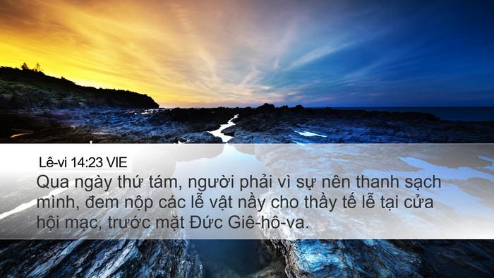 Lê-vi 14:23 VIE Bible Verse Image