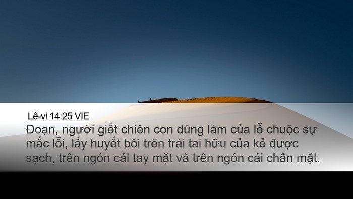 Lê-vi 14:25 VIE Bible Verse Image