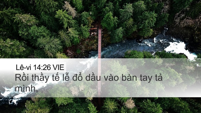 Lê-vi 14:26 VIE Desktop Wallpaper - Rồi thầy tế lễ đổ dầu vào bàn tay - Desktop Bible Verse Wallpaper