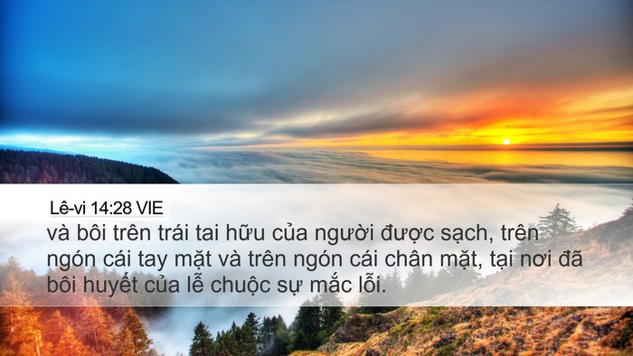 Lê-vi 14:28 VIE Desktop Wallpaper - và bôi trên trái tai hữu của người - Desktop Bible Verse Wallpaper