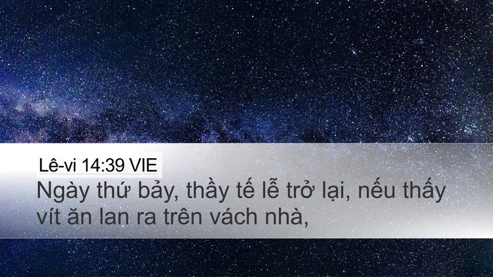Lê-vi 14:39 VIE Desktop Wallpaper - Ngày thứ bảy, thầy tế lễ trở lại, - Desktop Bible Verse Wallpaper