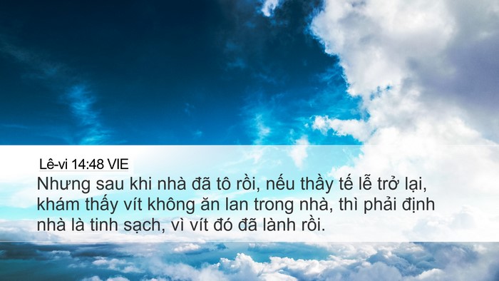 Lê-vi 14:48 VIE Desktop Wallpaper - Nhưng sau khi nhà đã tô rồi, nếu thầy - Desktop Bible Verse Wallpaper