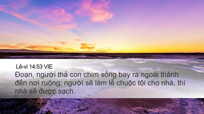 Lê-vi 14:53 VIE Desktop Wallpaper - Đoạn, người thả con chim sống bay ra - Desktop Bible Verse Wallpaper