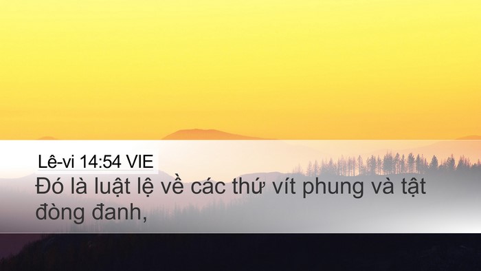 Lê-vi 14:54 VIE Bible Verse Image