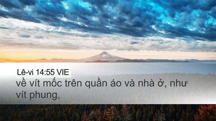 Lê-vi 14:55 VIE Desktop Wallpaper - về vít mốc trên quần áo và nhà ở, - Desktop Bible Verse Wallpaper