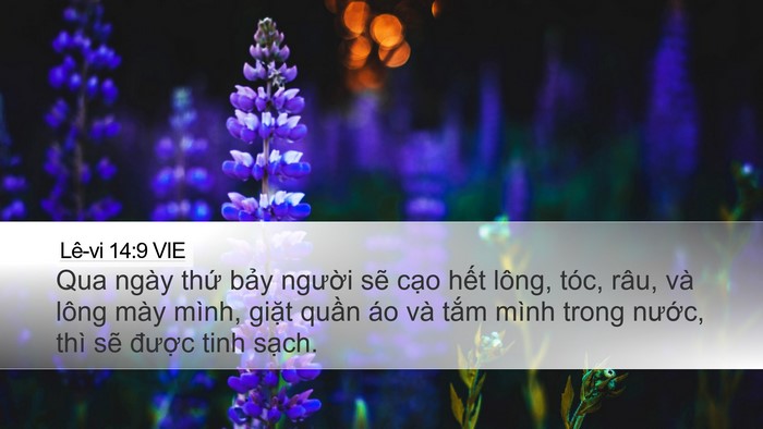 Lê-vi 14:9 VIE Bible Verse Image
