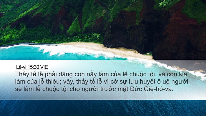 Lê-vi 15:30 VIE Desktop Wallpaper - Thầy tế lễ phải dâng con nầy làm - Desktop Bible Verse Wallpaper