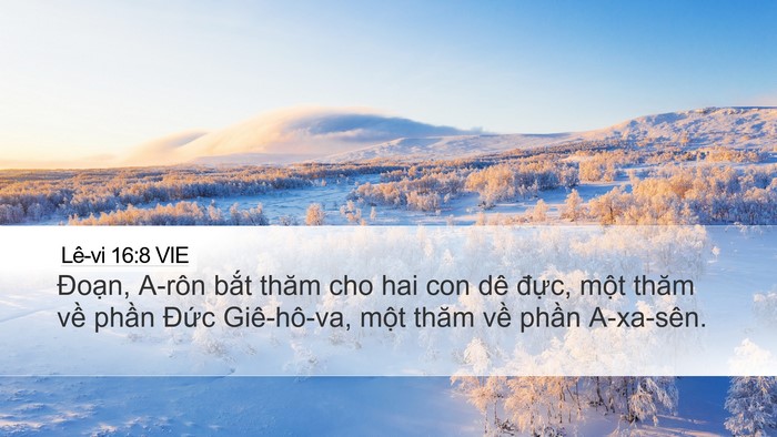 Lê-vi 16:8 VIE Desktop Wallpaper - Đoạn, A-rôn bắt thăm cho hai con dê - Desktop Bible Verse Wallpaper