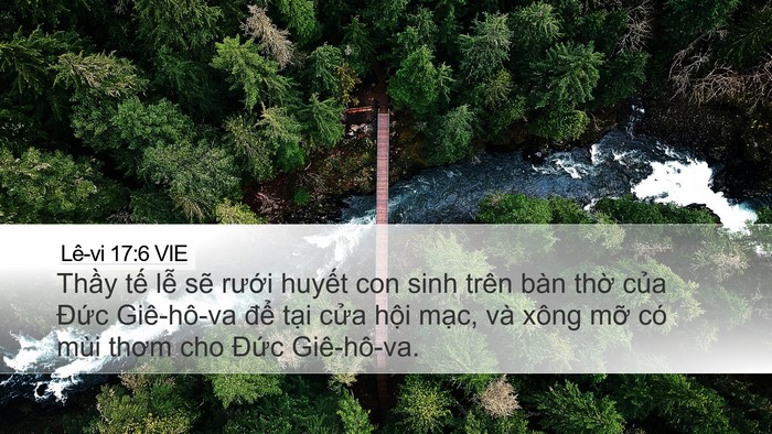 Lê-vi 17:6 VIE Bible Verse Image