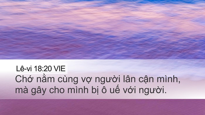 Lê-vi 18:20 VIE Bible Verse Image