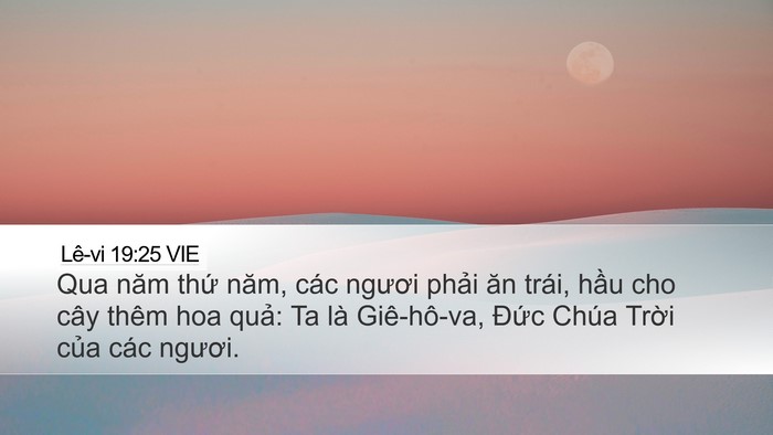 Lê-vi 19:25 VIE Desktop Wallpaper - Qua năm thứ năm, các ngươi phải ăn - Desktop Bible Verse Wallpaper