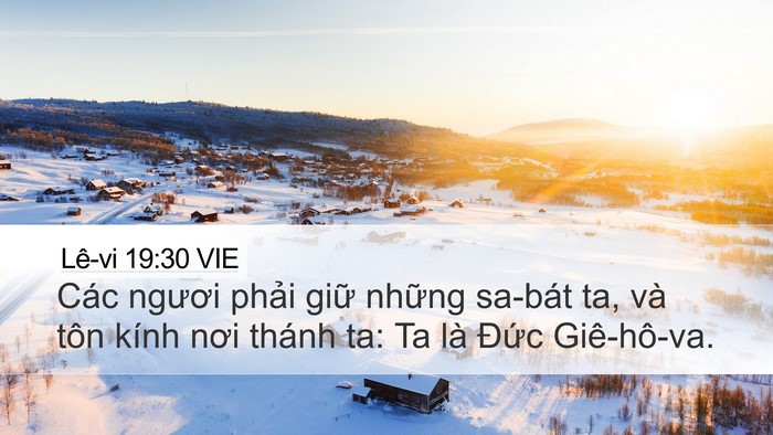 Lê-vi 19:30 VIE Bible Verse Image