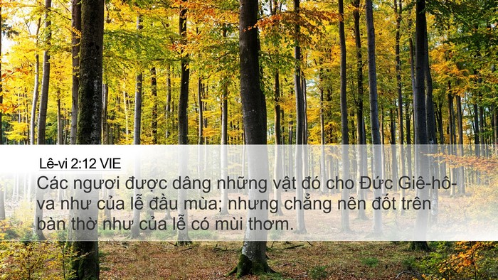 Lê-vi 2:12 VIE Desktop Wallpaper - Các ngươi được dâng những vật đó - Desktop Bible Verse Wallpaper