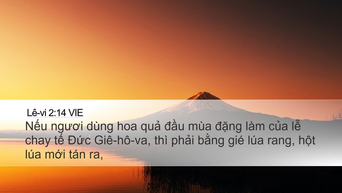 Lê-vi 2:14 VIE Bible Verse Image