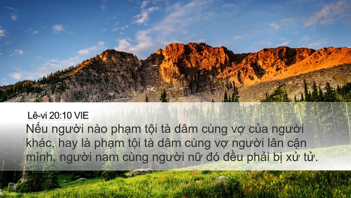 Lê-vi 20:10 VIE Bible Verse Image