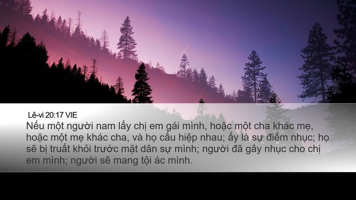 Lê-vi 20:17 VIE Bible Verse Image