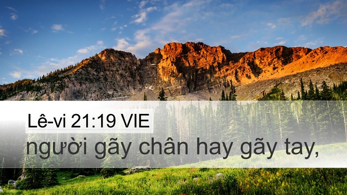 Lê-vi 21:19 VIE Desktop Wallpaper - người gãy chân hay gãy - Desktop Bible Verse Wallpaper