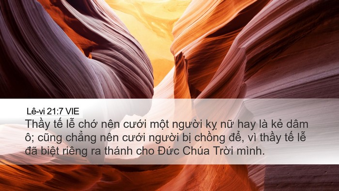 Lê-vi 21:7 VIE Bible Verse Image