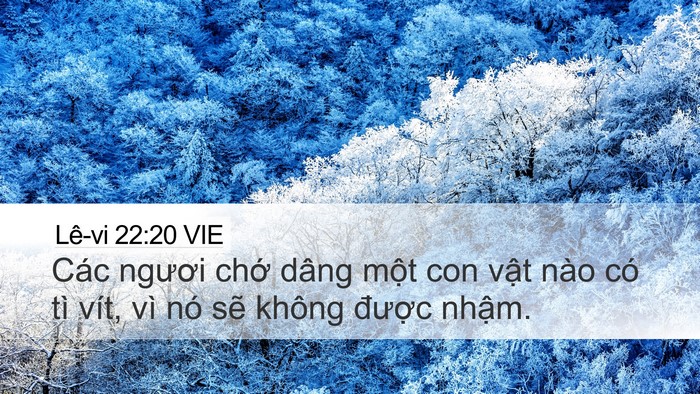 Lê-vi 22:20 VIE Bible Verse Image