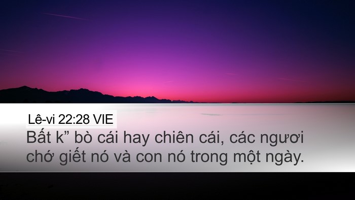Lê-vi 22:28 VIE Bible Verse Image