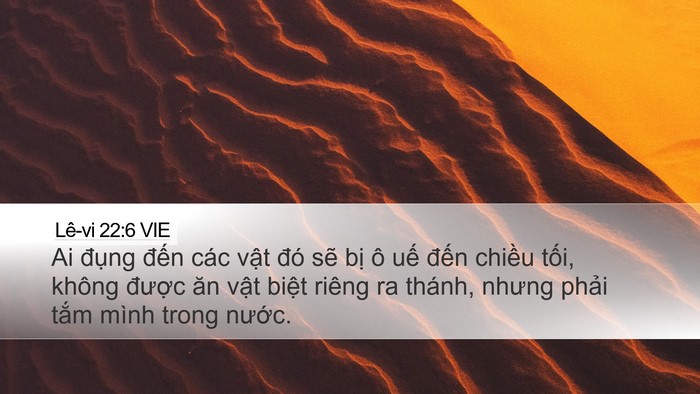 Lê-vi 22:6 VIE Desktop Wallpaper - Ai đụng đến các vật đó sẽ bị ô - Desktop Bible Verse Wallpaper